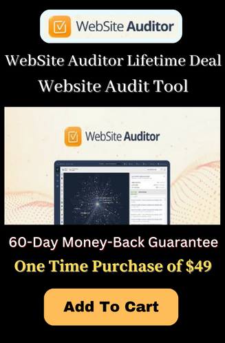 website audit tool